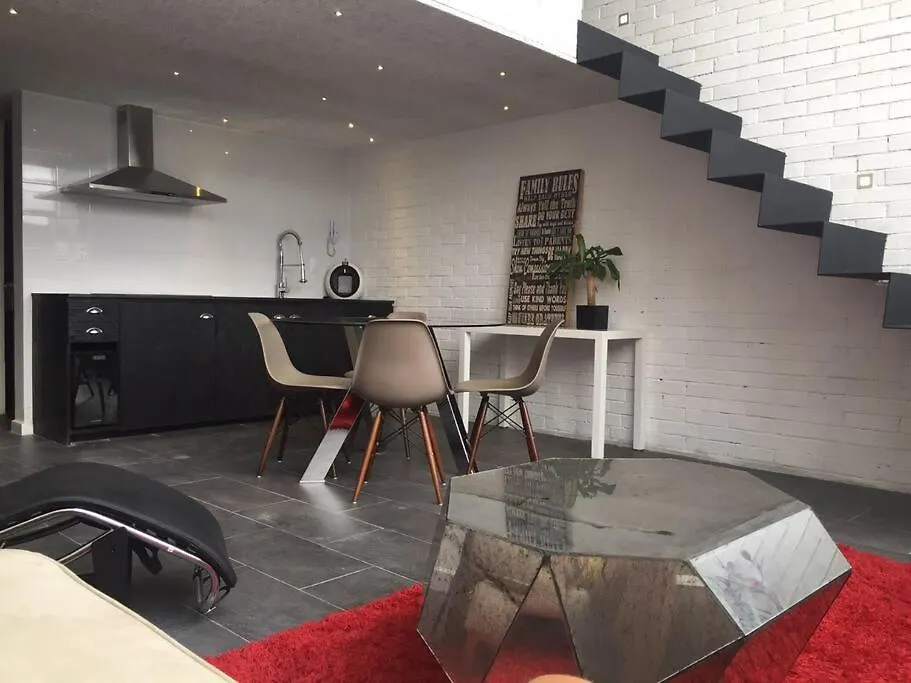 Amazing Loft With Great Location! Apartment Playa del Carmen